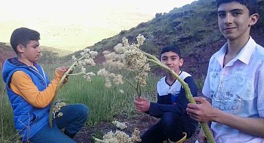 Eşgin tezgâhlara çıktı, demeti 30 lira