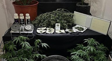 Evde kurulan düzenekle Hint keneviri yetiştiren 2 kişi yakalandı