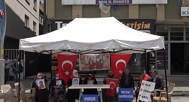 Evladı dağa kaçırılan anne: "Demirtaş'ı cezaevinden çıkaracaklardı. Şimdi çıkarsınlar da görelim"