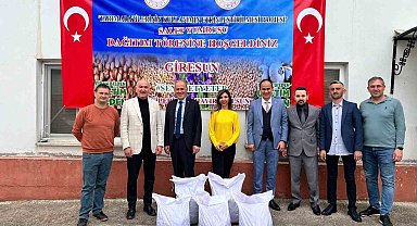 Giresun'da fındığa ek gelir için salep tohumu dağıtıldı