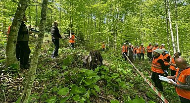 Gölyaka'da silvikültür tatbikatı yapıldı