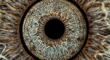 Gözler sanata dönüşüyor