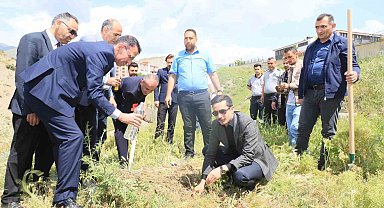 Hakkari'de "Dünya Tütünsüz Günü'nde fidan dikildi