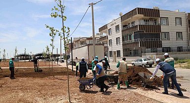 Haliliye'de parklar güzelleşiyor