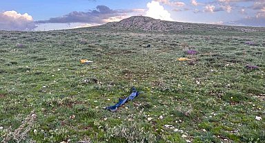 Hayvanlar yalnız dönünce, çoban arazide ölü bulundu