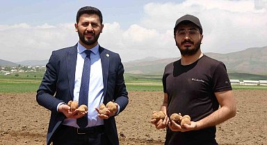 Irak'tan dönen genç iş adamı, Cilo Dağı eteklerinde 100 dönümlük alana patates ekimine başladı