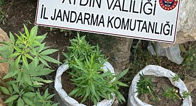 Jandarmadan uyuşturucu baskını: 4 gözaltı