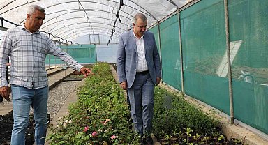 Kahta'da çiçek serası kuruldu