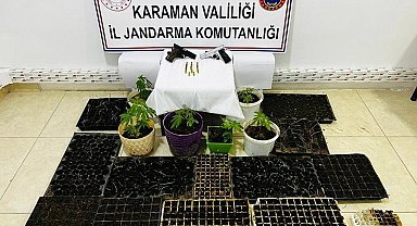 Karaman'da fide tüplerinde ekilmiş kenevir ele geçirildi