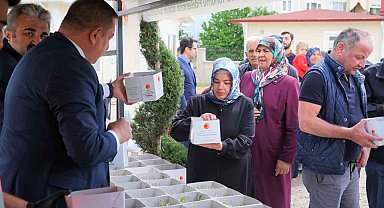 Kastamonu'da vatandaşlara ücretsiz ata tohumu fidesi dağıtılacak