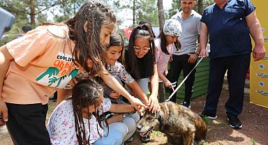 Kepez'in Pati Atölyesi'nden sokak hayvanlarına yuva