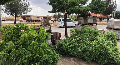 Kozluk'ta sağanak nedeniyle dereler taştı, ağaçlar devrildi