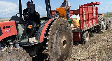 Kula'da çeltik ekimi başladı