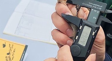 Kuşların türlerini ve rotalarını belirleyecek çalışma: Halkalama istasyonu