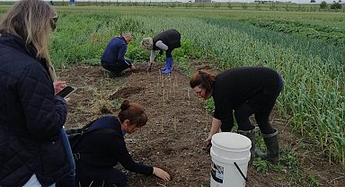 Lüleburgaz'da salep üretimi umut veriyor