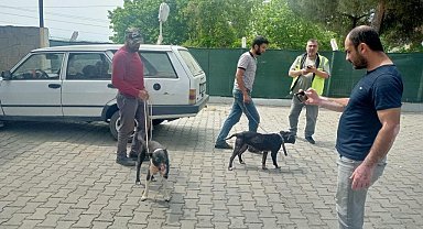 Manisa'da pitbull ile oklu kirpi avlayan 6 kişiye 138 bin 198 lira para cezası