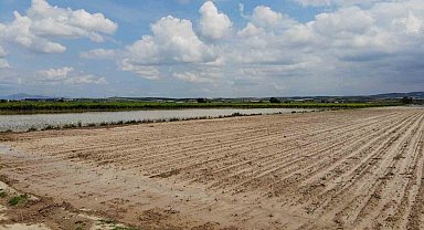 Manisa'da sel felaketi tarım arazilerini vurdu