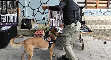 Manisa'da uyuşturucudan 66 gözaltı 5 tutuklama