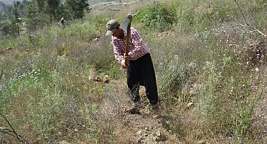 Mersin'de yanan orman sahalarında bakım çalışmaları tamamlandı