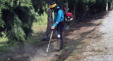 Ortaca'nın park bahçe ve yollarında çalışma