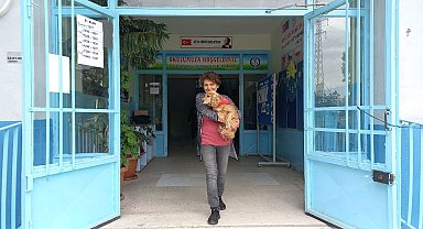 Oy kullanmaya köpeğiyle geldi