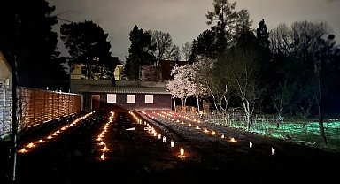 Polonya'da 128 kişilik toplu mezar bulundu