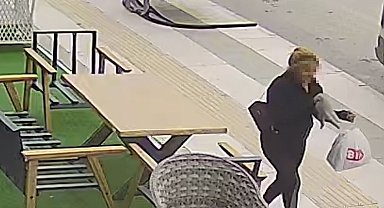 Sahipli kediyi kucağına alıp kayıplara karıştı