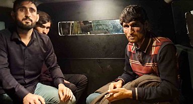 Sakarya'da 4 kaçak göçmen yakalandı