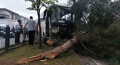 Samsun'da 9 kişinin yaralandığı işçi servisi kazasında polis, yaralı karga yavrusuna da hastaneye götürdü