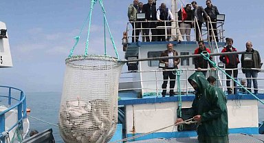 Samsun'da Türk somonu hasadı başladı