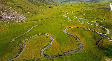 Sarı çiçeklerle süslenen Güzeldere mendereslerinden kartpostallık görüntüler