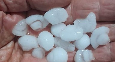 Sarıgöl'de dolu zararı