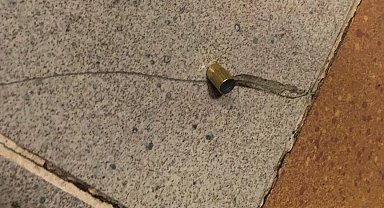 Seçim akşamı havaya sıkılan mermiler yağmur gibi yere düştü