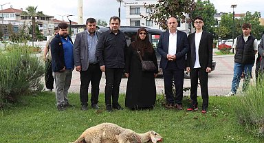 Seçimi kazanan Cumhurbaşkanı Erdoğan için ilçe belediyesinin bahçesinde koç kestirdi