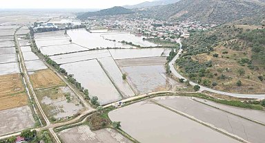 Sel, tarlaları sular altında bıraktı