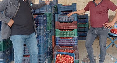 Selendi'de sezonun ilk kiraz pazarı kuruldu