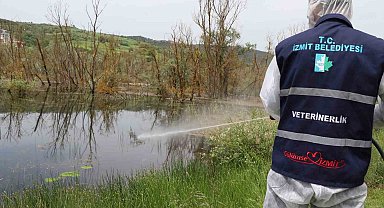 Sıcaklıkların gelmesiyle larva ile mücadele çalışmaları başladı