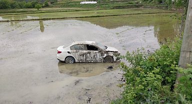Sinop'ta otomobil çeltik tarlasına uçtu: 1 yaralı