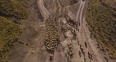 Sürülerin tozlu göç yolculuğu başladı