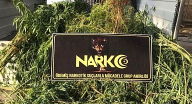 Tarım serasına uyuşturucu operasyonu: 3 gözaltı