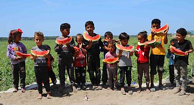 Tescilli Adana karpuzu dünya sofralarını da süslüyor