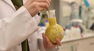 Üniversite laboratuvarlarında geliştirildi: Borlu gıda takviyeleri ile kemik erimesi önlenecek