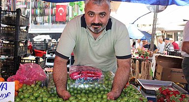 Vazgeçilmez yaz meyvesi erik tezgahlarda yerini aldı