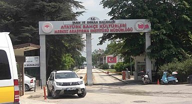 Yalova Atatürk Merkez Araştırma Enstitüsünde korkutan yangın