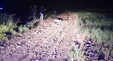 Yaylada üzerlerine yıldırım düştü: 1 ölü, 1 yaralı