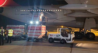 Yurt dışı oylarının tümü Ankara'ya getirildi