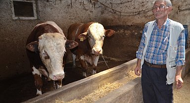 1 ton 400 kiloluk "Beyazcan" ve 1 ton 360 kiloluluk "Şahmeran" alıcılarını bekliyor