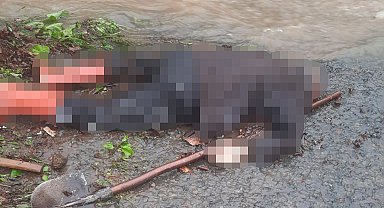 19 Mayıs'ta büz açmaya giden şahıs ölü bulundu