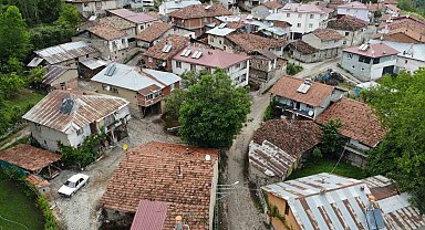 450 yaşında olduğu düşünülen ceviz ağacı köyün maskotu oldu