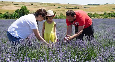 5 yıl önce Edirne'de lavanta bahçesi kuran çift ürünlerini Avrupa'ya ihraç etmeyi hedefliyor